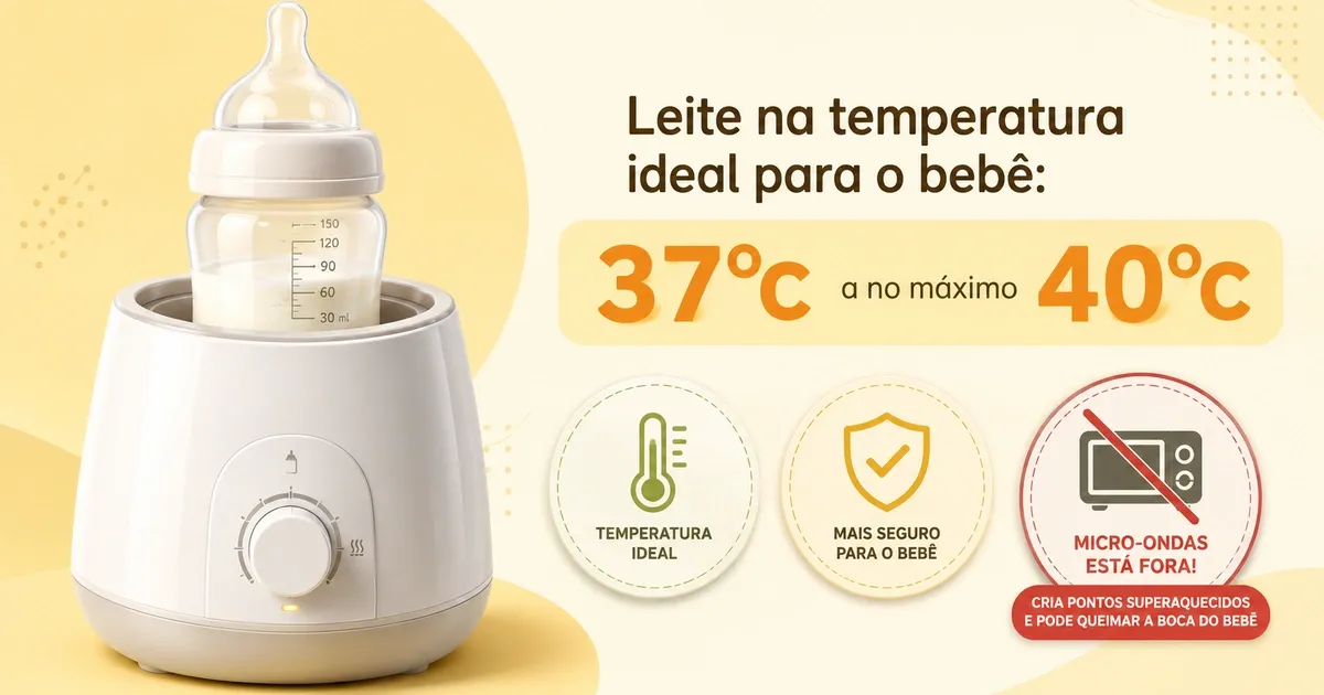 Aquecedor de Mamadeira: Como Escolher e os Melhores Modelos
