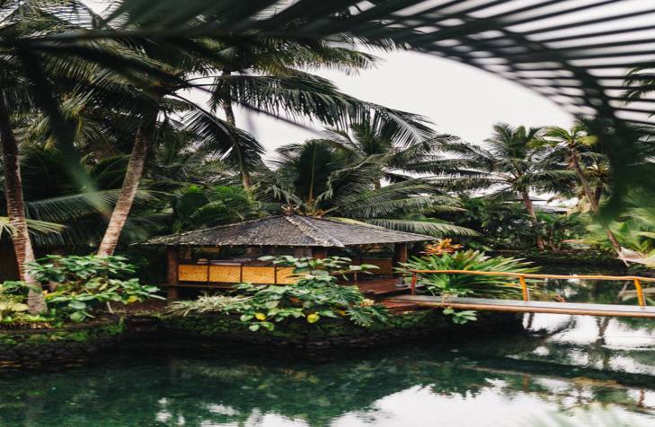 Mood Changes: Causes of Mood Swings & Ways to Manage Them